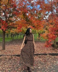 Fall Dresses Ideas For Women