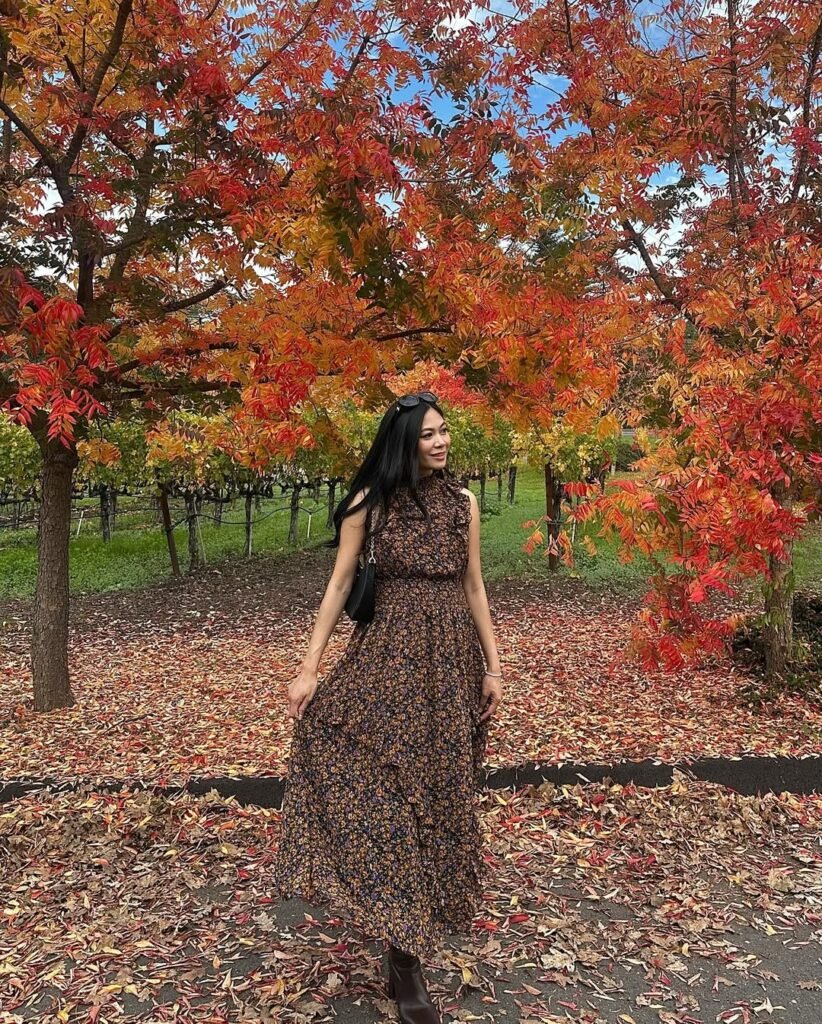 Fall Dresses Ideas For Women