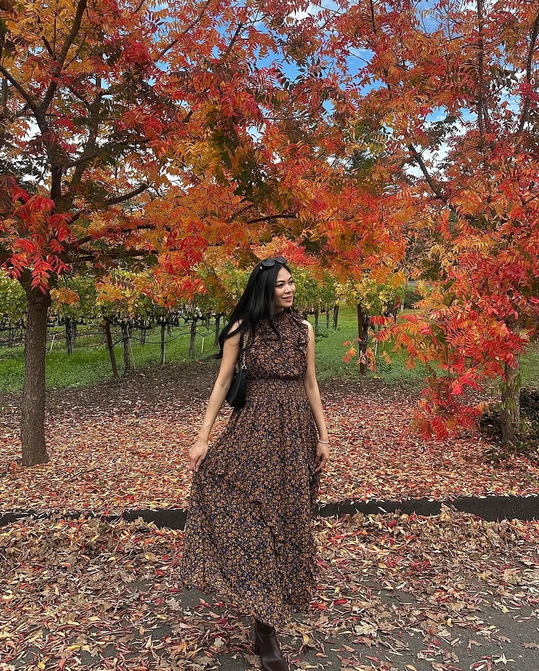Fall Dresses Ideas For Women